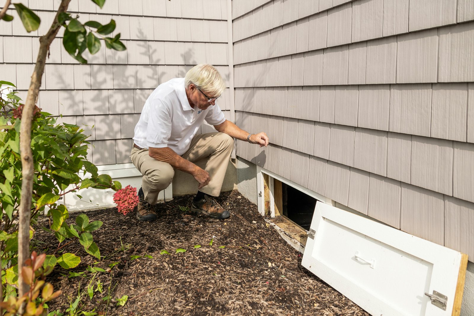 Custom Pest Control Solutions